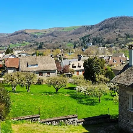 La Maison Hortensias - 4pers * Vic-sur-Cère
